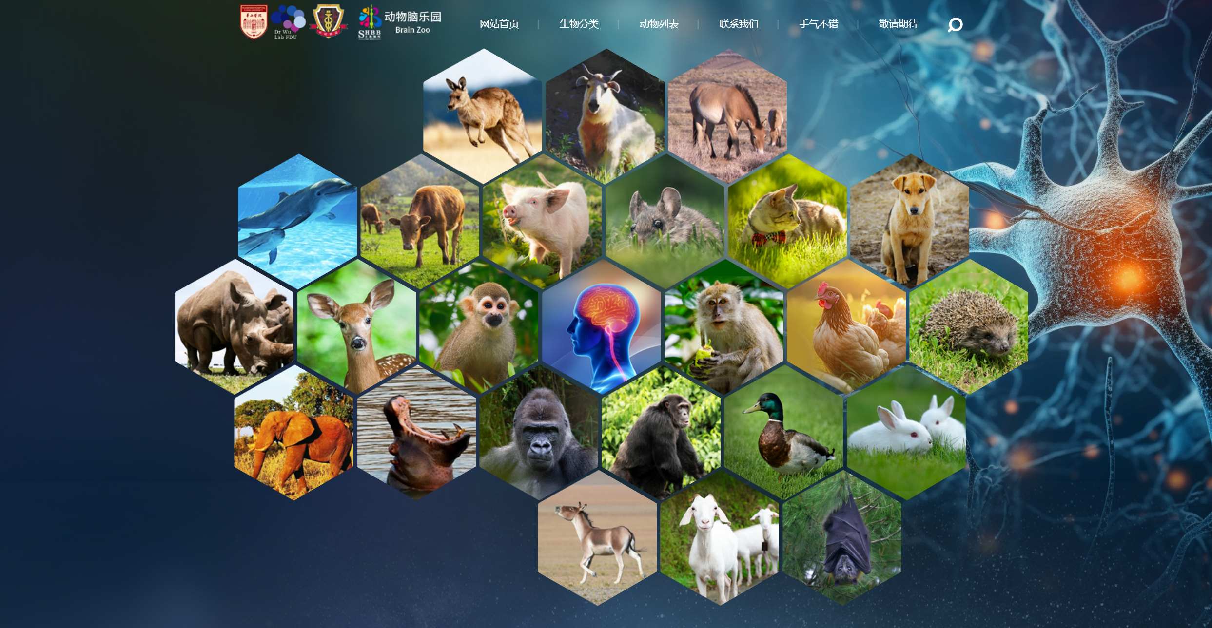 1720496969503342.jpg 微信圖片_20240709092546.jpg